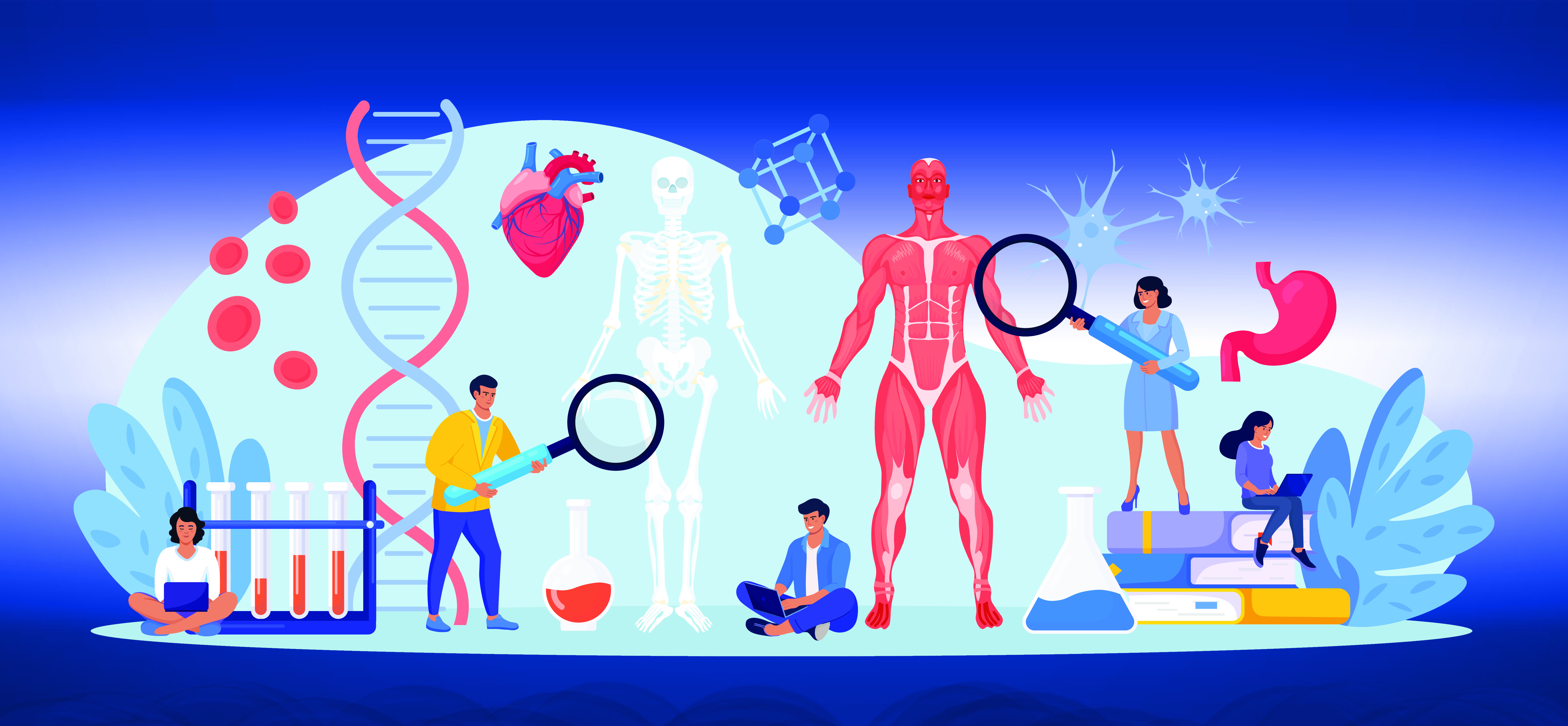 0. Anatomy & Physiology Get Started