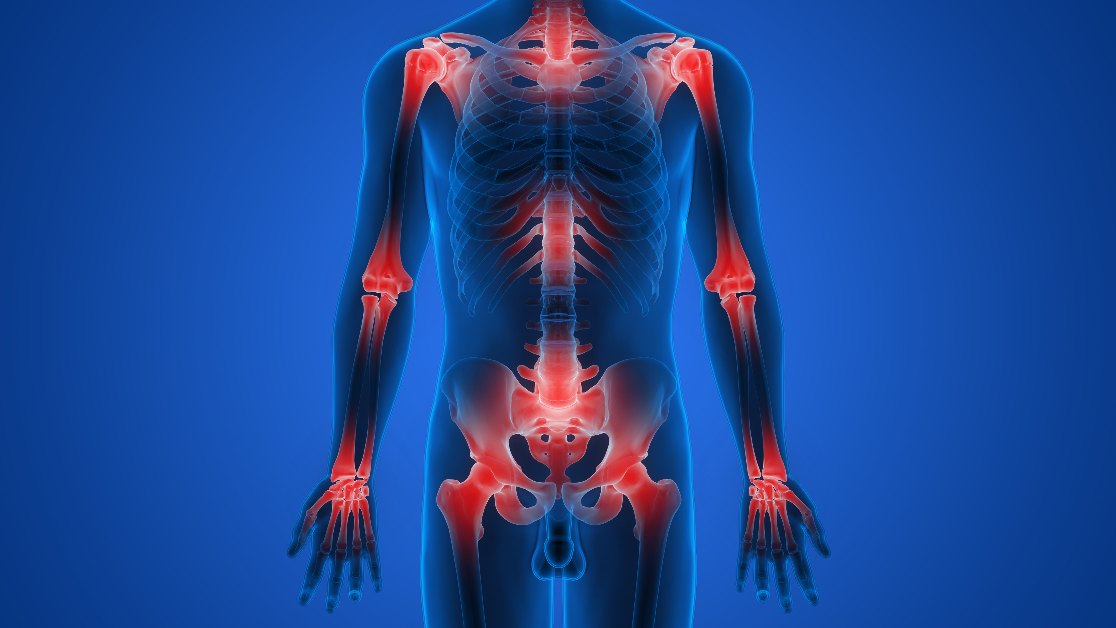02a. Muscles Actions and Insertions
